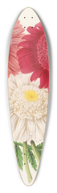 Charles Antoine Lemaire - Pyrethrum 39.3 inch art pintail longboard deck