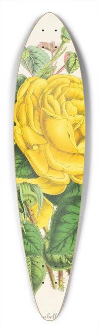 Charles Antoine Lemaire - Rose The Isabelle Grey 39.3 inch art pintail longboard deck