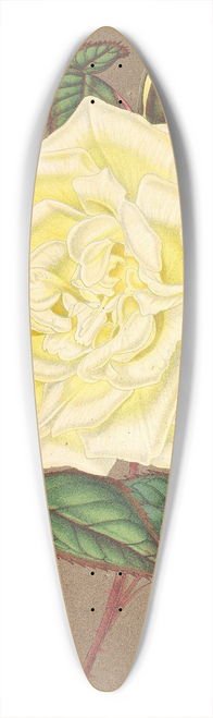 Charles Antoine Lemaire - Rose (Th) Isabelle Sprunt 39.3 inch art pintail longboard deck