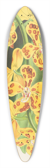 Charles Antoine Lemaire - Vanda gigantea 39.3 inch art pintail longboard deck