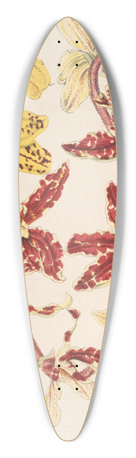 Charles Antoine Lemaire - Vanda Lowii Lindl. 39.3 inch art pintail longboard deck