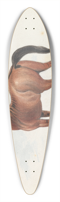 Charles Hamilton Smith - Colt Third Issue of Brood Mare and Second by the Black Arab 39.3 inch art pintail longboard deck