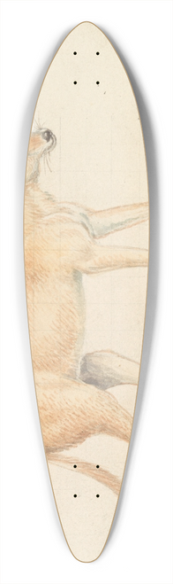 Charles Hamilton Smith - Greyhound Dhole 39.3 inch art pintail longboard deck