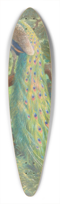 Charles Robert Knight - Indian Peafowl 39.3 inch art pintail longboard deck
