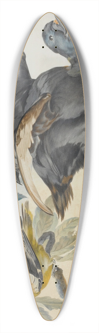 Circle of Aert Schouman - A Duck And Four Other Birds, Three On A Branch 39.3 inch art pintail longboard deck