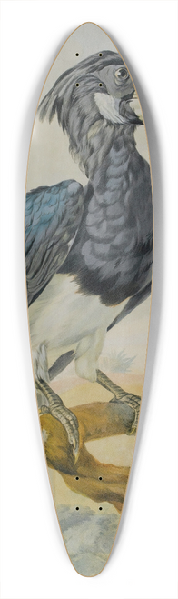 Circle of Aert Schouman - A Hornbill And Another Bird On A Branch 39.3 inch art pintail longboard deck