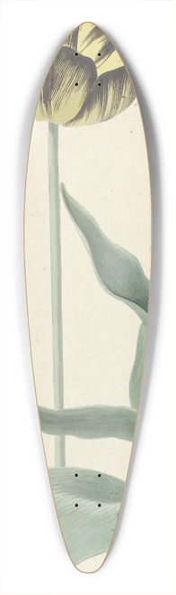 Cornelis van Noorde - De tulp Bizard Catafalque 39.3 inch art pintail longboard deck