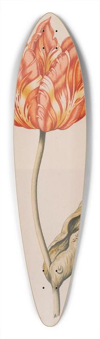 Dutch School - An Orange And Yellow Tulip With A Butterfly 39.3 inch art pintail longboard deck
