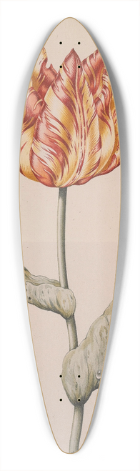 Dutch School - A Tulip With A Butterfly 39.3 inch art pintail longboard deck