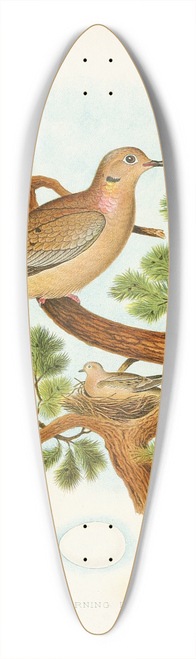 Edwin L. Sheppard - Mourning Dove 39.3 inch art pintail longboard deck
