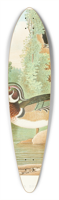 Edwin L. Sheppard - Wood Duck 39.3 inch art pintail longboard deck