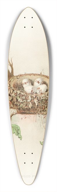Edwin L. Sheppard - Wood Pewee 39.3 inch art pintail longboard deck