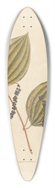 Elizabeth Blackwell - Black pepper 39.3 inch art pintail longboard deck