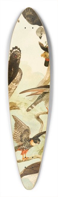 Emil August Gldi - Gavies III 39.3 inch art pintail longboard deck