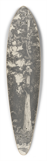 Ernest Haskell - Baby Sequoia 39.3 inch art pintail longboard deck