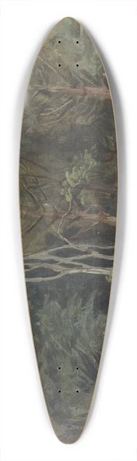 Eugne Delacroix - The Edge of a Wood at Nohant 39.3 inch art pintail longboard deck