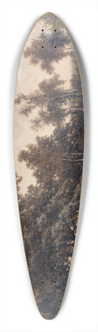 Euphrosine Beernaert - Pool in the Kempen 39.3 inch art pintail longboard deck