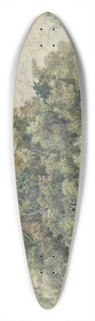 Ferdinand Keller - Urwaldansicht in den Bergen 39.3 inch art pintail longboard deck