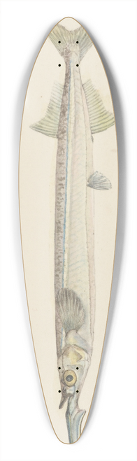 Frank Edward Clarke - Hyporhamphus melanochir (Tas) : Southern Sea Garfish 39.3 inch art pintail longboard deck