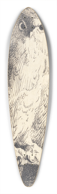 Frans Schwartz - Prveplade; en ugle 39.3 inch art pintail longboard deck