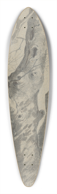 Friedrich Carl von Scheidlin - Study of a Knotted Tree Trunk 39.3 inch art pintail longboard deck