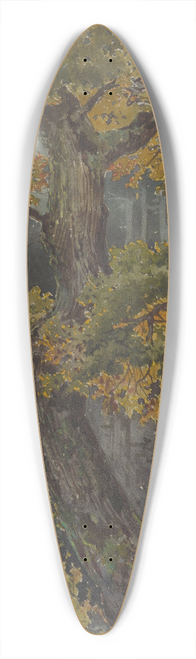Friedrich Carl von Scheidlin - Study of Broadleaved Tree. Motif from Svt Jur 39.3 inch art pintail longboard deck