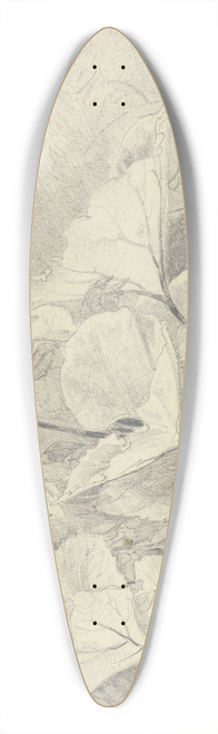 Fritz Bamberger - Coltsfoot 39.3 inch art pintail longboard deck