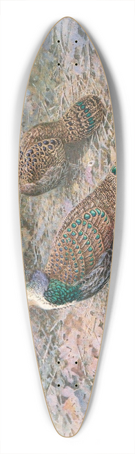 George Edward Lodge - Bornean Peacock Pheasant 39.3 inch art pintail longboard deck