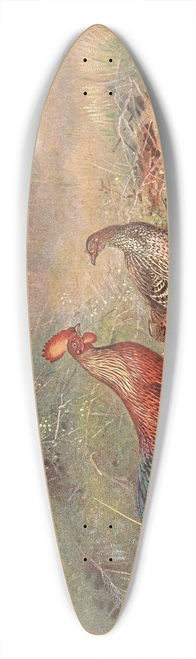George Edward Lodge - Ceylon Junglefowl 39.3 inch art pintail longboard deck
