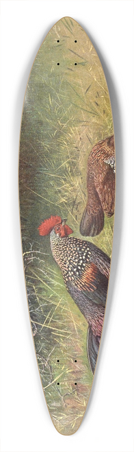 George Edward Lodge - Grey Junglefowl 39.3 inch art pintail longboard deck