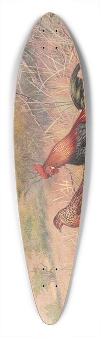 George Edward Lodge - Red Junglefowl 39.3 inch art pintail longboard deck
