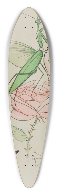 Georges Goursat (Sem) - Le coin des potes; Anna de Noailles, Cocteau, dAnnunzio 39.3 inch art pintail longboard deck