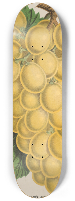Charles Antoine Lemaire - Thomsons Golden Champion Grape 8.25 inch art skate deck
