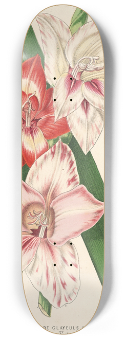Charles Antoine Lemaire - Variets nouvelles de Glayeuls des jardins 8.25 inch art skate deck