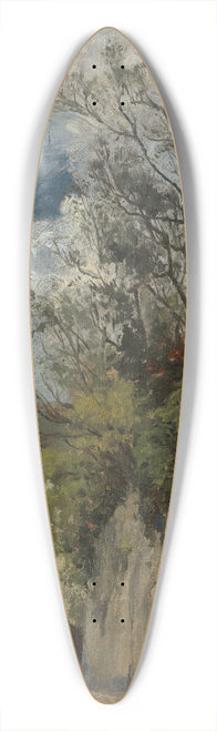 Gustav Schnleber - Salita in Genua 39.3 inch art pintail longboard deck