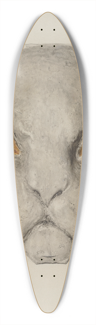 Harriette Gale - Cats Head 39.3 inch art pintail longboard deck