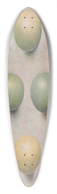 Henrik Gronvold - Eggs Of British Diving Ducks 39.3 inch art pintail longboard deck