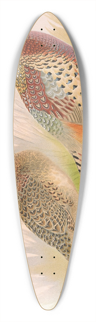 Henry Jones - Formosan Ring-Necked Pheasant 39.3 inch art pintail longboard deck