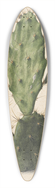 Herman Saftleven - Pear Cactus in Bloom 39.3 inch art pintail longboard deck