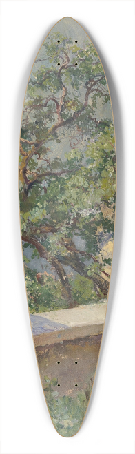 Hugo Charlemont - Aus der Wachau 39.3 inch art pintail longboard deck