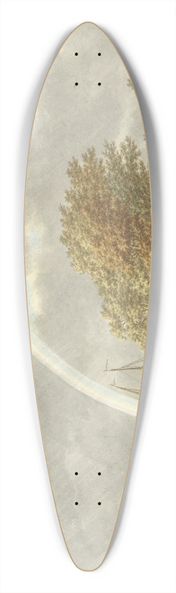 Jacob Cats - Herfst, avond en water 39.3 inch art pintail longboard deck