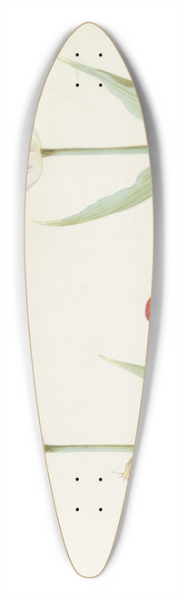 Jacob Marrel - Twee tulpen met aardbeien en slak 39.3 inch art pintail longboard deck