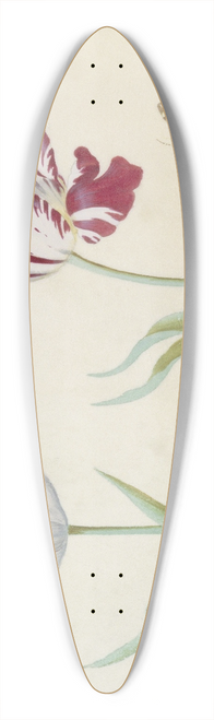 Jacob Marrel - Twee tulpen met vlinder. 39.3 inch art pintail longboard deck