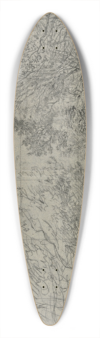 Jakob Maurer - Forest section 2 39.3 inch art pintail longboard deck