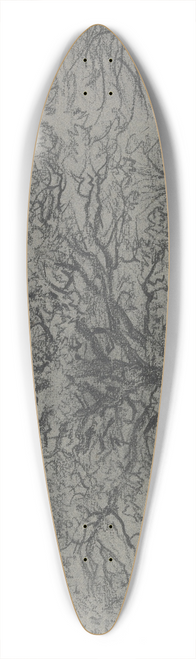 Jakob Maurer - Group of trees 39.3 inch art pintail longboard deck