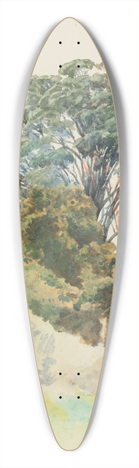 James Crowe Richmond - Rata, Taranaki 39.3 inch art pintail longboard deck