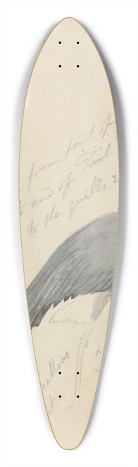 James de Carle Sowerby - A Crane 39.3 inch art pintail longboard deck