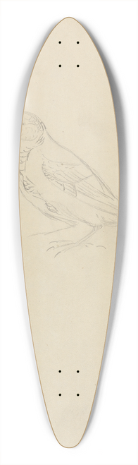 James Sowerby - A Marsh Tit 39.3 inch art pintail longboard deck
