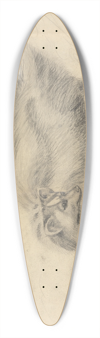 James Sowerby - A skunk with another skunk in the background 39.3 inch art pintail longboard deck