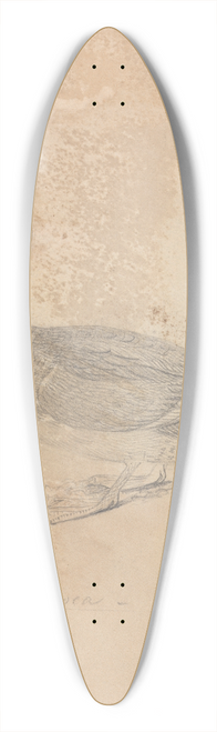 James Sowerby - Ferruginous Duck 39.3 inch art pintail longboard deck